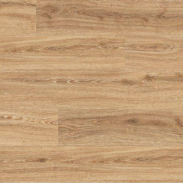 Manuka Oak